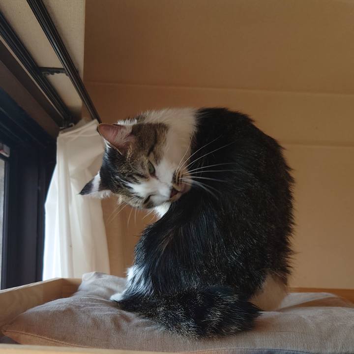 A6b4ef30 a04f 49bc b930 29219266ac22 1763264957960