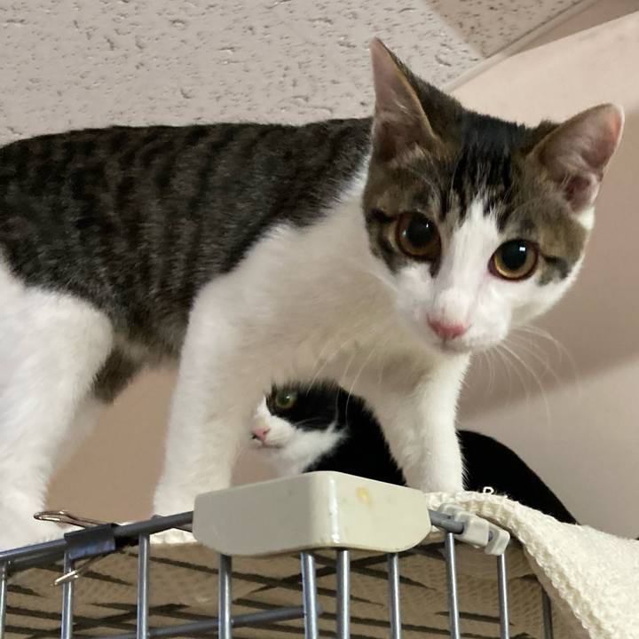 A6b56063 8221 4a3e 9f3f dcb646eeecc8 1701763326586