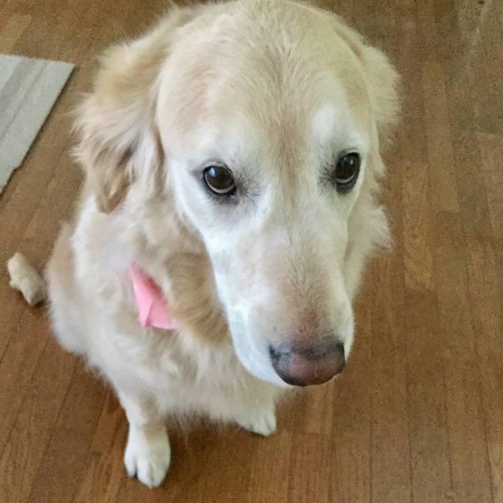 A6b568bf 00f2 40a7 b28f fcb8476721b1 1557221150582