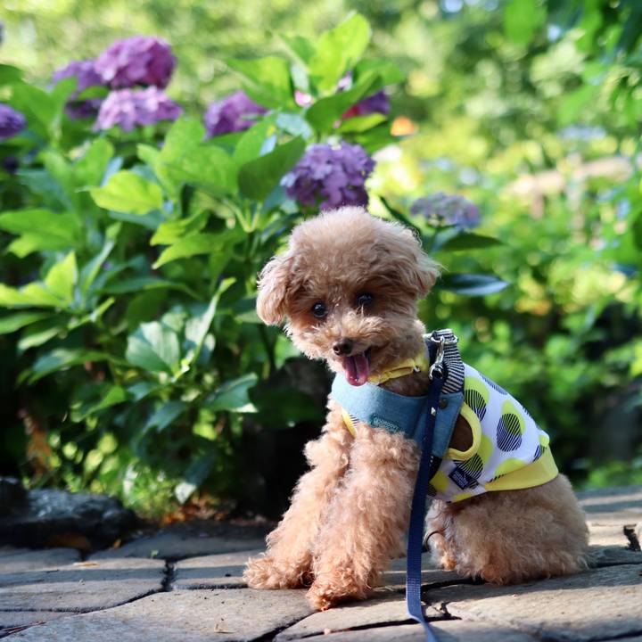 A6b56fe5 4924 469a 97b6 6c744190152c 1604842345540