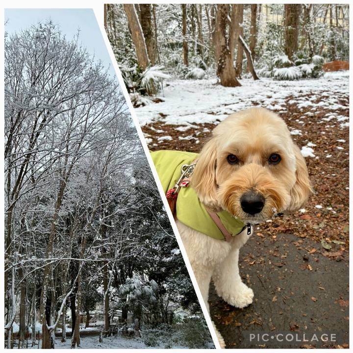 A6b58bef ba36 49be a56c dcd485a57c6c 1770611912408