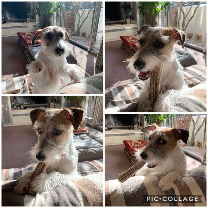 A6b5cf14 54f7 42da 90f9 909eb7009ea5 1577061417303