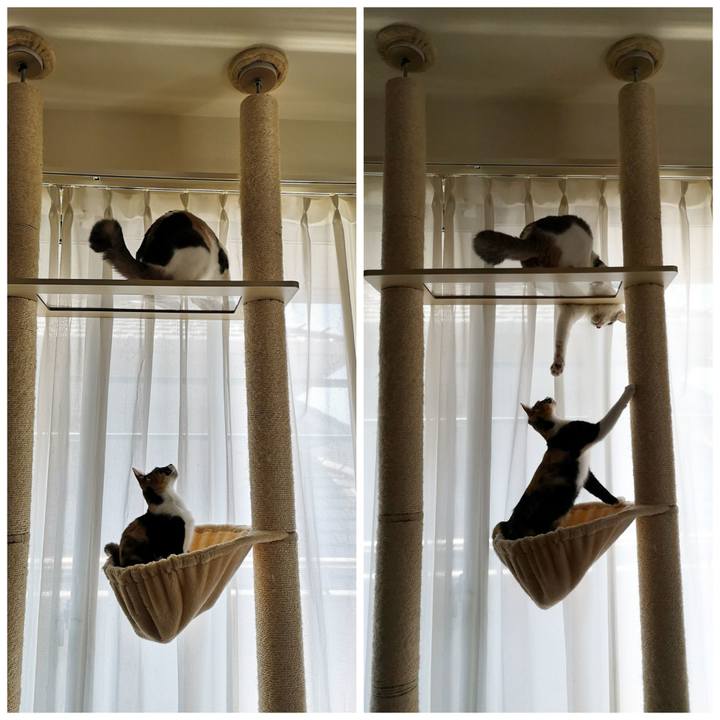 A6b5d33a a565 4642 bc21 7840781bb9a9 1598536319434