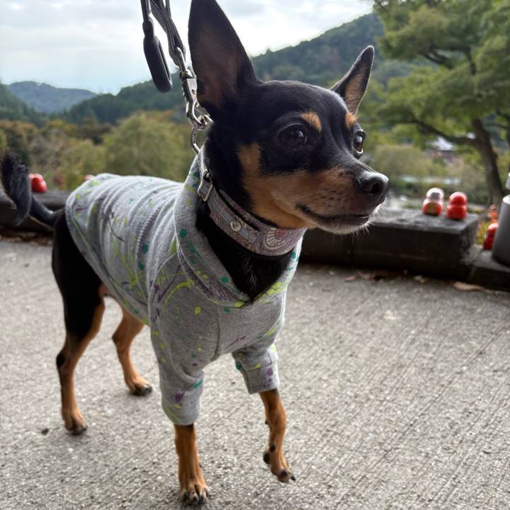 A6b5dfbc dd88 4d0b b99b a48e359122a9 1761524334170