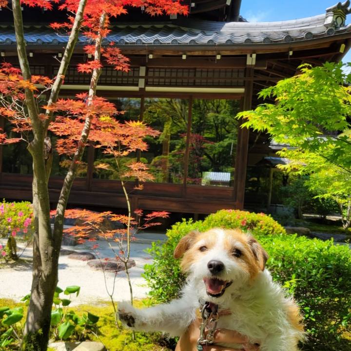 A6b603f4 118a 4412 801f 1d7968a9d570 1717222211471