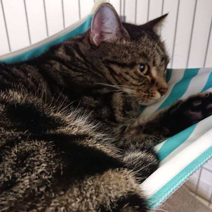 A6b60cab 7dd9 4aeb 8c54 146a98ecf0a3 1604035875268