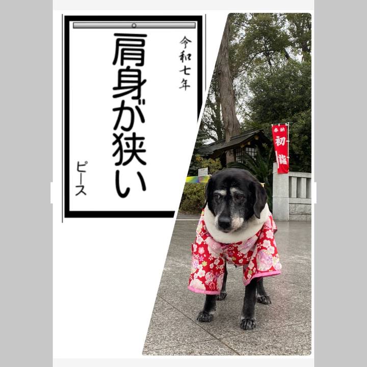 A6b62d9c 3c2d 490e b963 c313c5eaf636 1736159334285