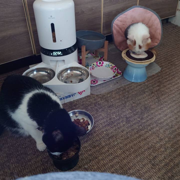 A6b63131 1f1f 4923 98a7 64e3e3fb1c51 1761627430140