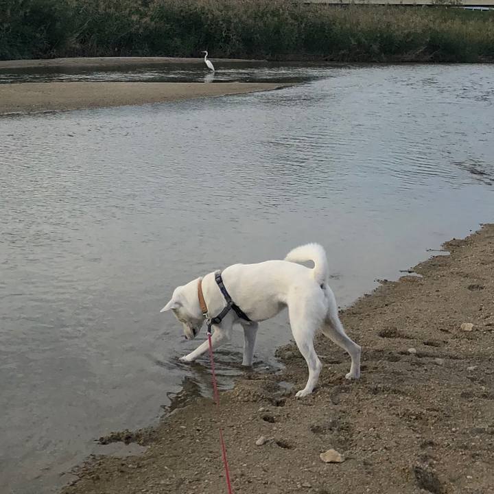 A6b68c84 8200 4958 8538 67997ffee99b 1540194765569