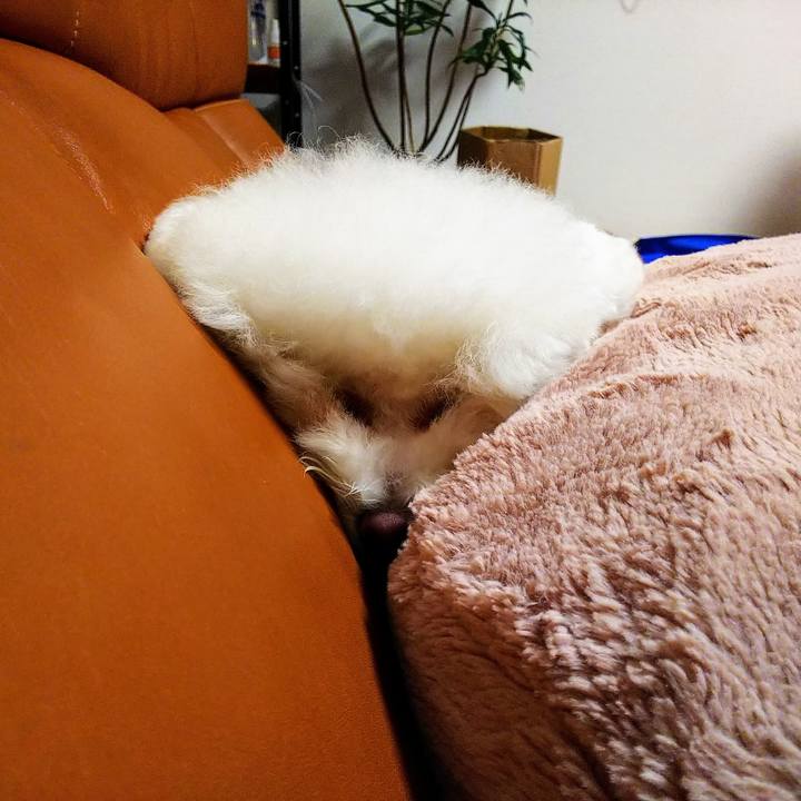 A6b6b1e4 dc49 450f 9538 850f7876699e 1564489053557