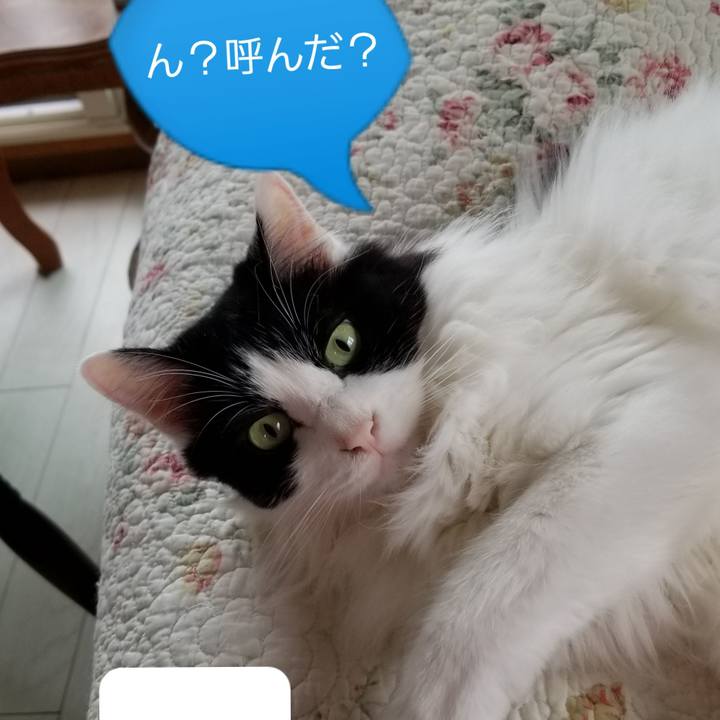 A6b6cd99 0ad0 4c6a a10a 09adb8573d50 1562749210482