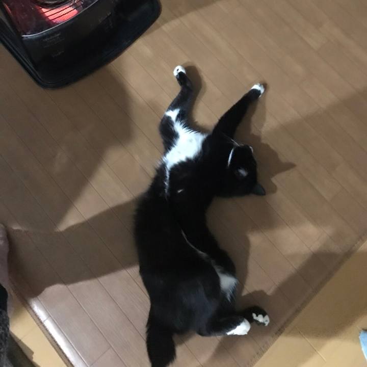 A6b6e03f ece3 4ff3 b019 662bd084ee76 1579146200548