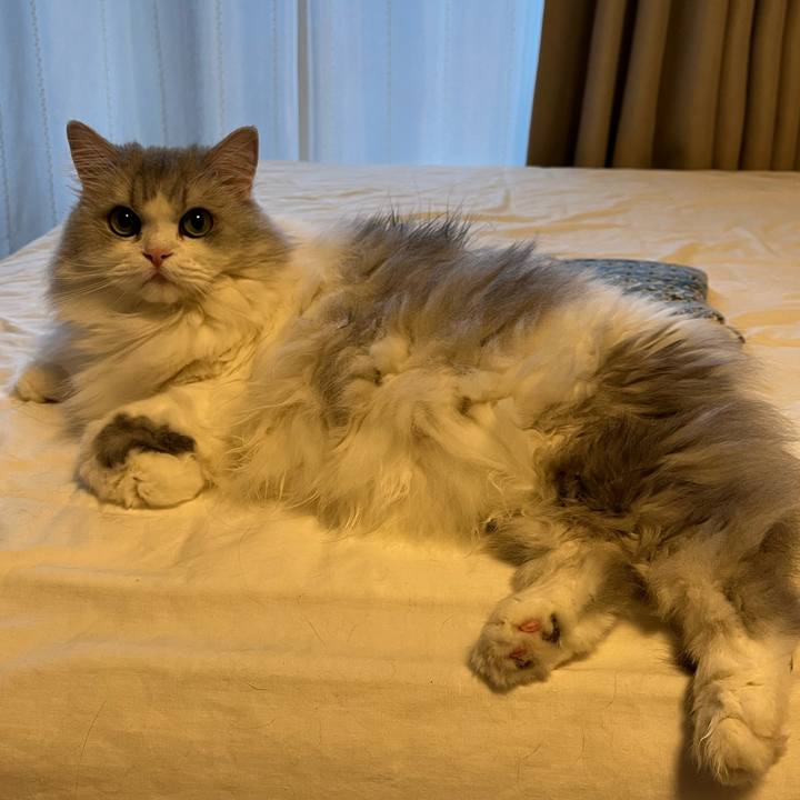 A6b71f8f 52f1 4cb1 badc fa385a4bcb25 1734789185901