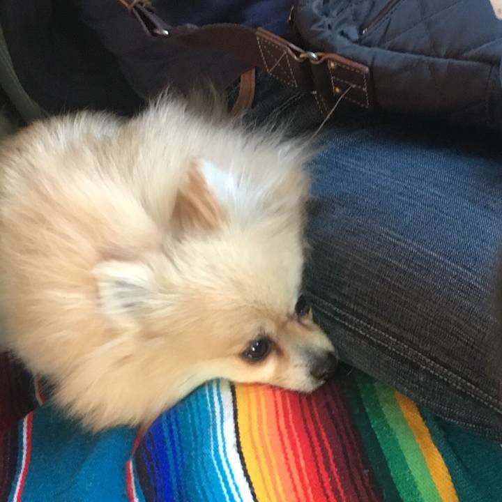 A6b722f9 8f17 49ae 9956 c5af51d4732a 1526879041639