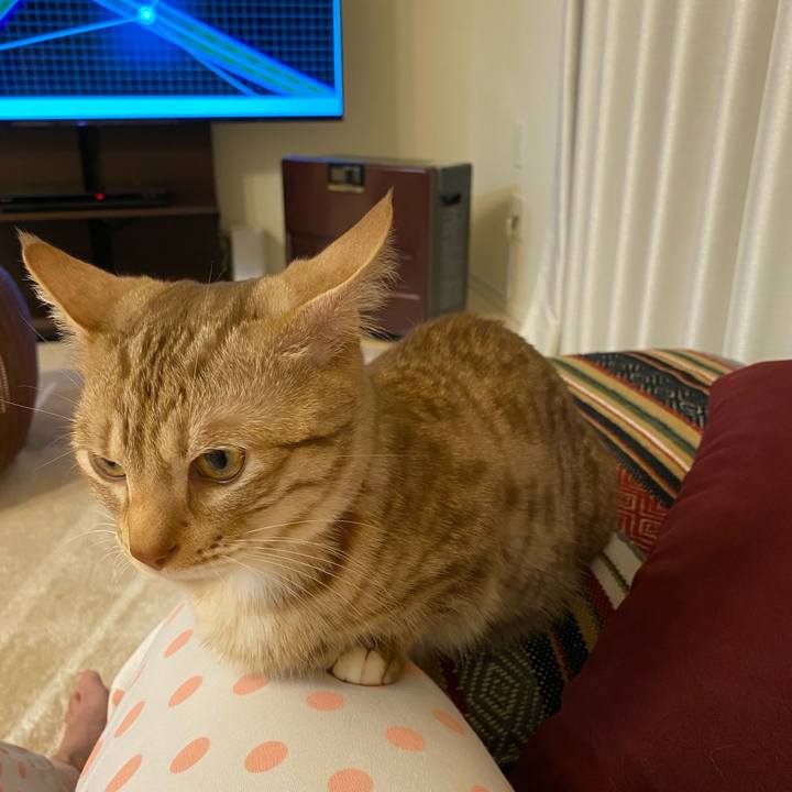 A6b74fb2 15ee 401c ac2b 63208aa9d290 1617539395145