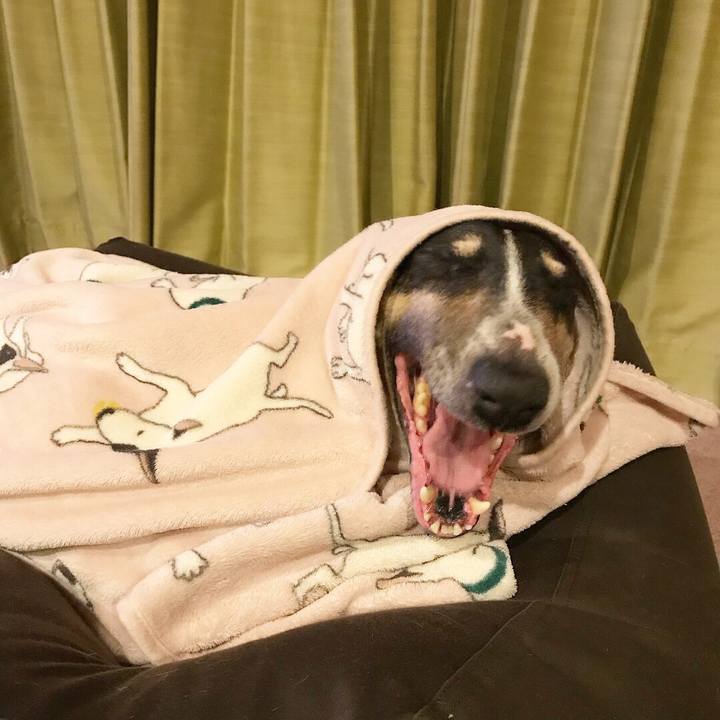 A6b7564f 2afc 41d7 bceb 120c176f2b6b 1519304313221