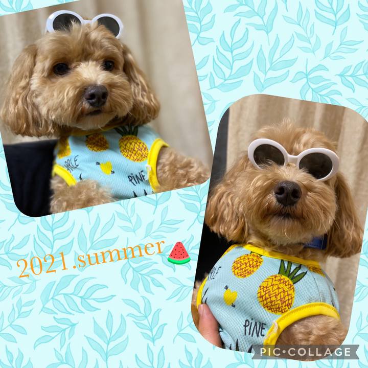 A6b78289 c126 4151 ae98 36adf982af5c 1628436963422