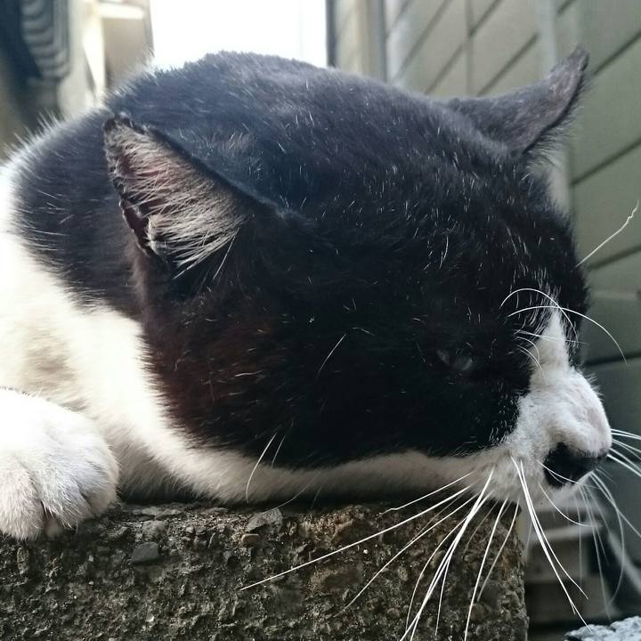 A6b7b7b2 00e8 4f5f 8ba1 023803c7fc66 1524541681182