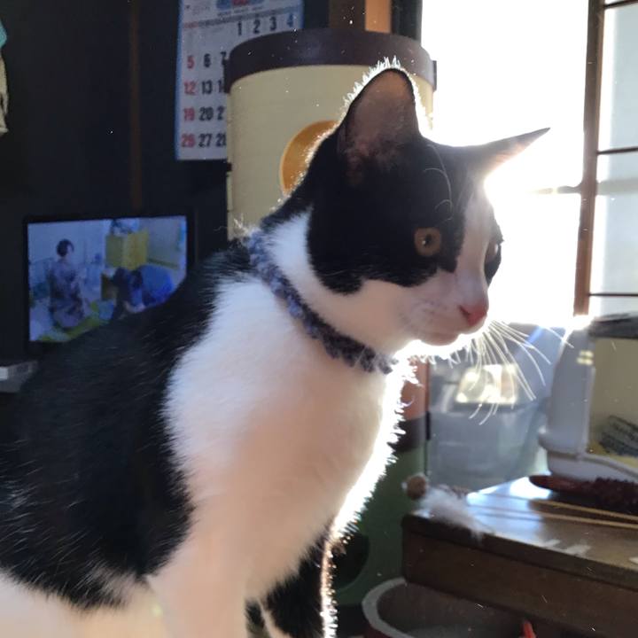 A6b7b975 24f6 4c43 9304 86be7bea4108 1639210505189