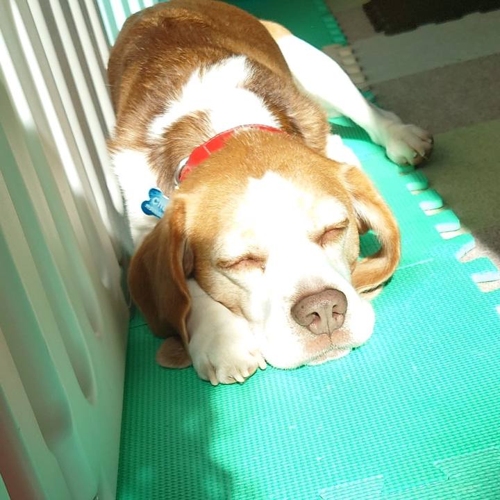 A6b7bb50 de68 4502 a75f eca8c9b2c473 1700534603661