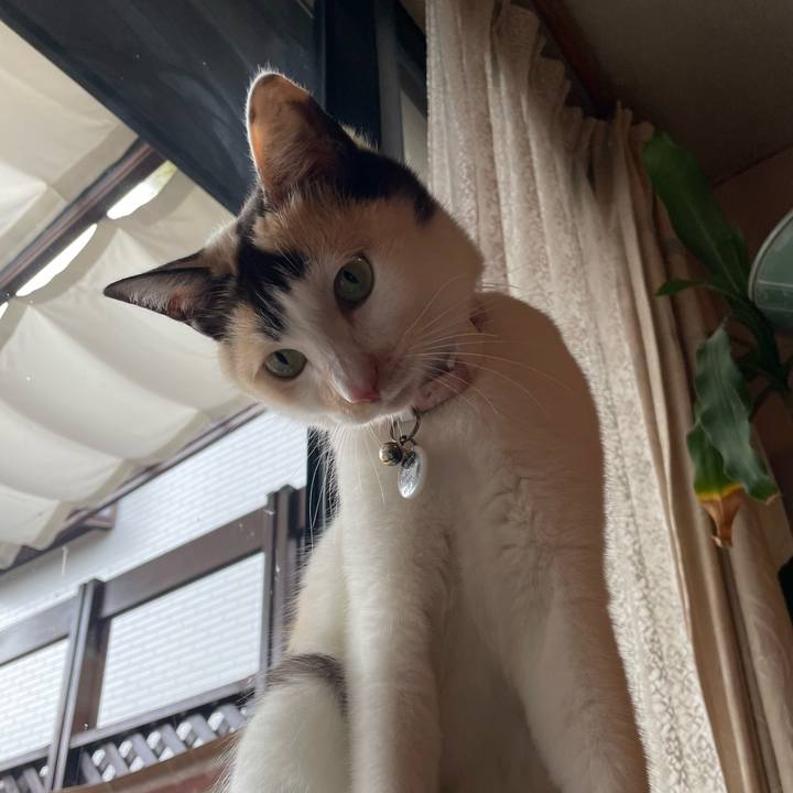 A6b7bb85 b50b 479f 8b08 bd837e5124bb 1738545296389