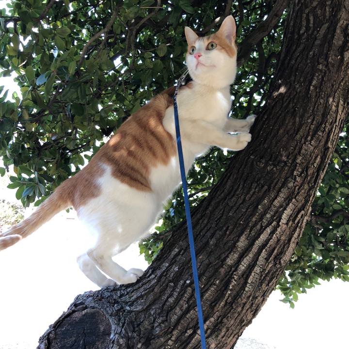 A6b7d237 af80 4930 9d79 093b17a9fe24 1550386494750