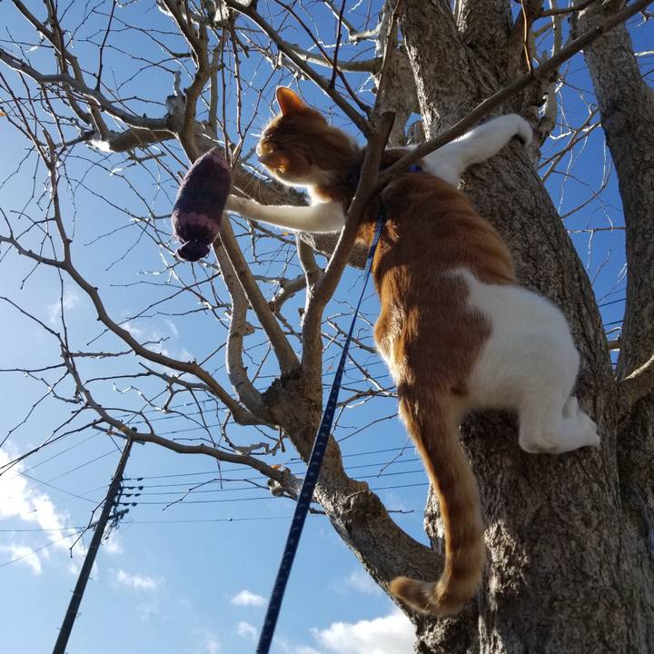 A6b7d5af 7769 4cf7 871d 3c9ceab1187a 1546493980000