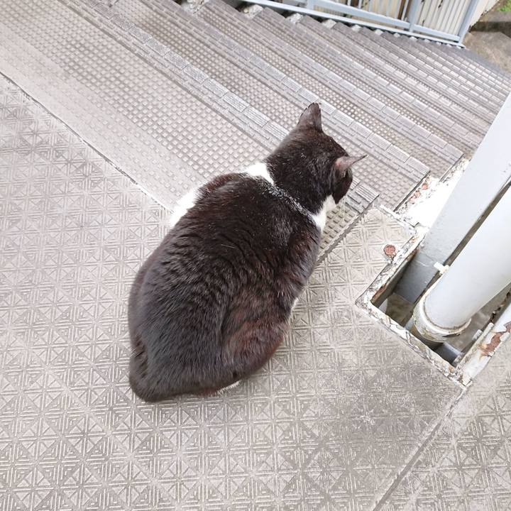 A6b81586 8e4a 49cf a2af dd503c50db05 1588909065481