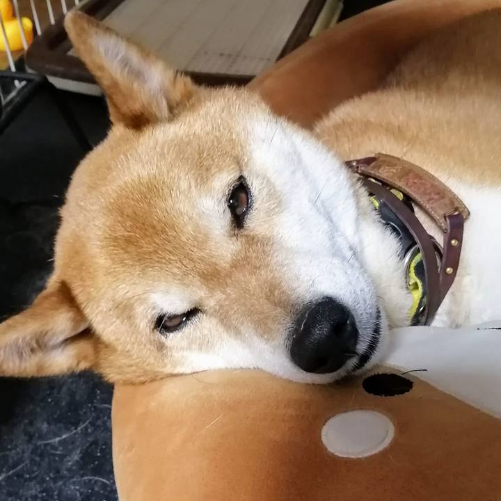 A6b82353 4857 4811 bd88 1162165e3f66 1619924378489