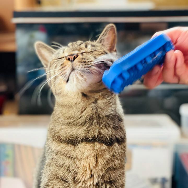 A6b82882 ae93 449e a4f3 a27a0b3349f7 1616290373156