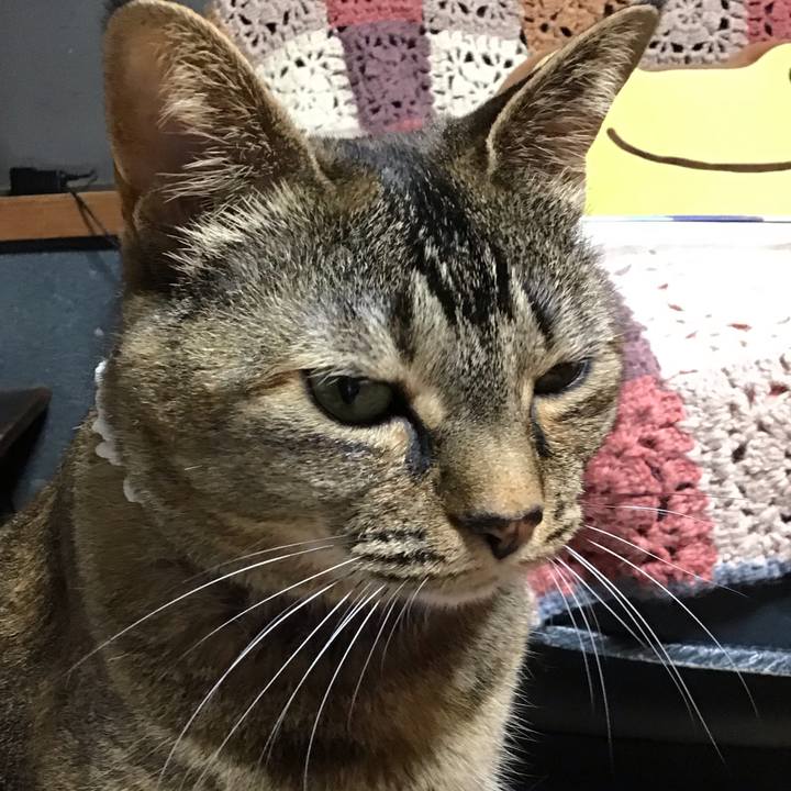 A6b84aa1 d948 4101 aaa8 c797207867c9 1686573199152