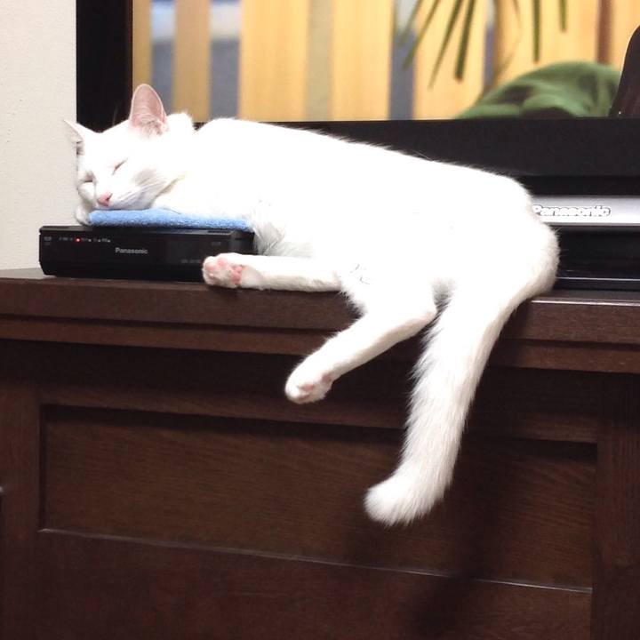 A6b84dbf 5e41 49af bbf7 02b656823c46 1634170831407