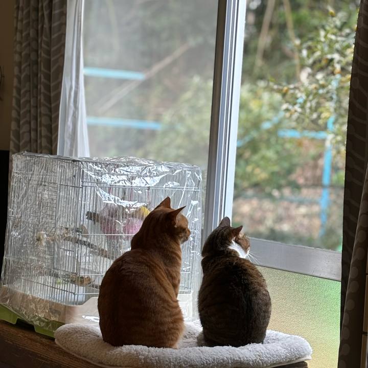 A6b86425 0493 474e a537 a8671b524d17 1740269056338