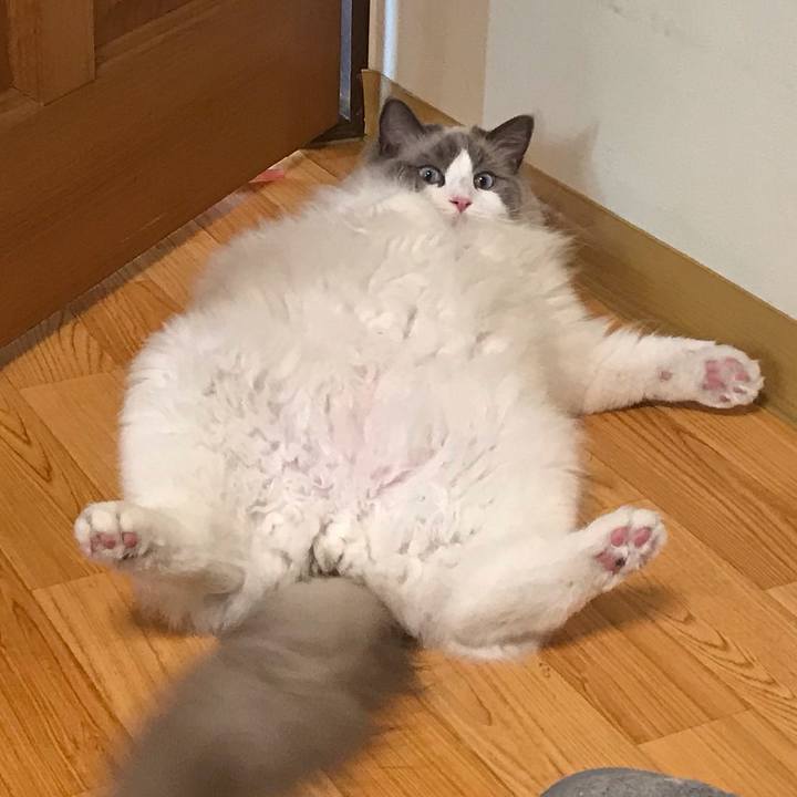 A6b89f75 1989 4fa9 b8cf 91ae41bba409 1564552622579