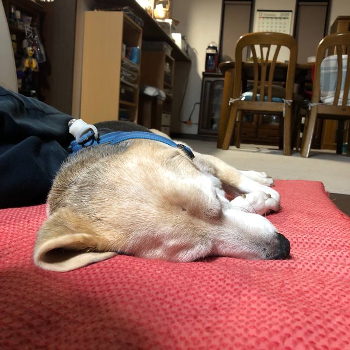 A6b91d0c 4cc2 4086 8f89 633bda40ff30 1605745309147