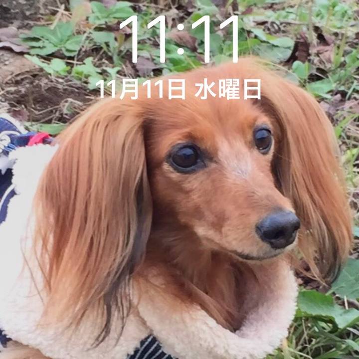 A6b927a2 dbae 4cad b7c6 a1b535113849 1605121708440