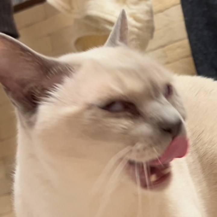 A6b93209 de65 42c6 9568 5e194d7f55f0 1742731973039