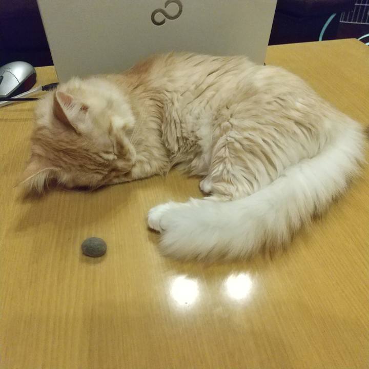 A6b99190 10aa 49c1 80af f048b274a0a7 1614258827531