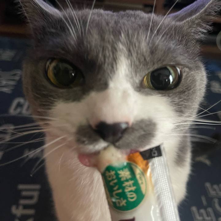 A6b9aacd 327c 4068 91b8 c8209601dba1 1718605301793