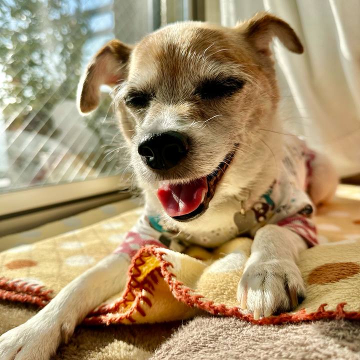 A6b9d4d9 1c6a 4530 acc6 b32a20e22766 1674012606765