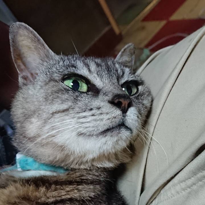 A6b9f2be 5b45 479a af4d 77698871f2f8 1564920892748