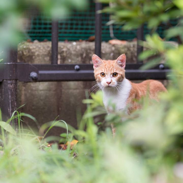 A6ba009e fe8d 4bf2 bd3f 6a26065d5bd6 1537016148564