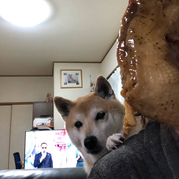 A6ba0278 0b49 40ed 9781 5e0f3b796f64 1608902115238