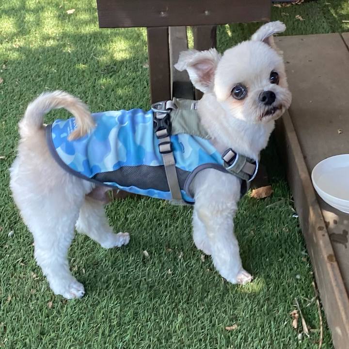 A6ba0afb ff92 4577 9f35 fa0f957f23c6 1759754572990