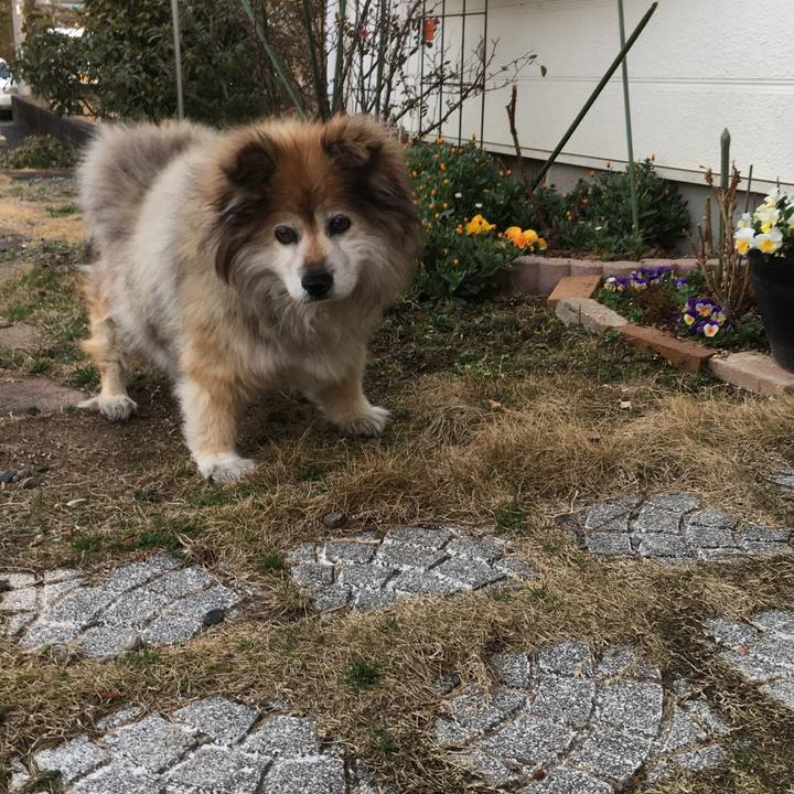 A6ba333d 4a9d 4846 a571 54b2329e522e 1552338865079