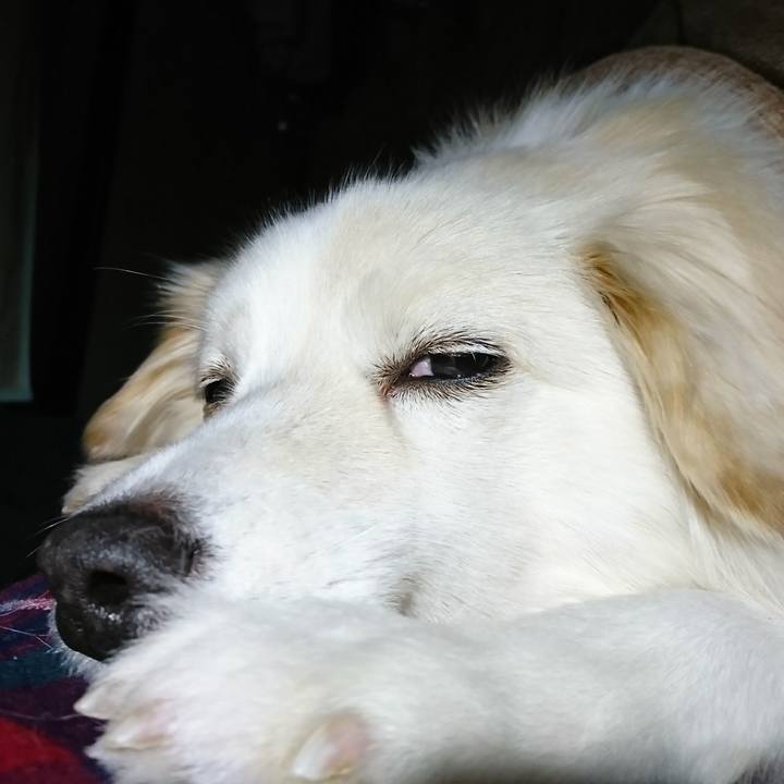 A6ba6242 ec83 4efd 8e3d 9bf792bf5904 1515704473695