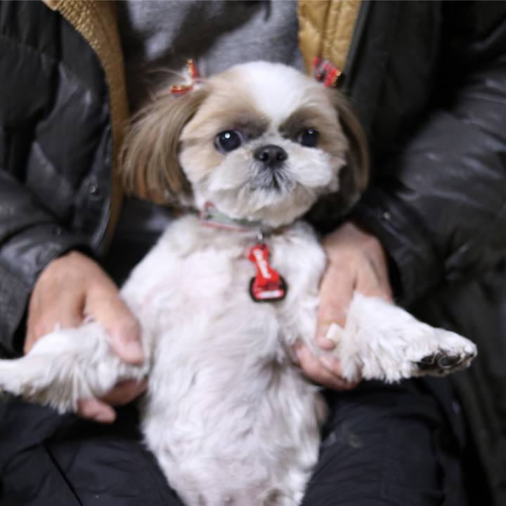 A6ba76dd 7569 4431 acaf 9cad360153bf 1513604607132