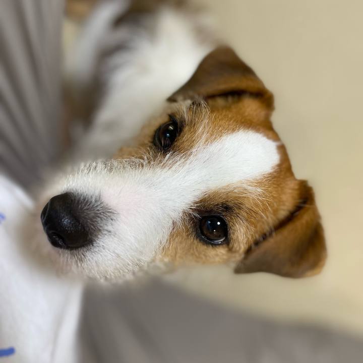 A6ba7b43 c86e 4c57 9abe e22ebe57a12f 1691742155534