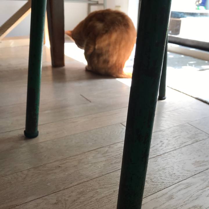 A6ba915f 3f82 49d7 8122 2254eefdd608 1550286574331