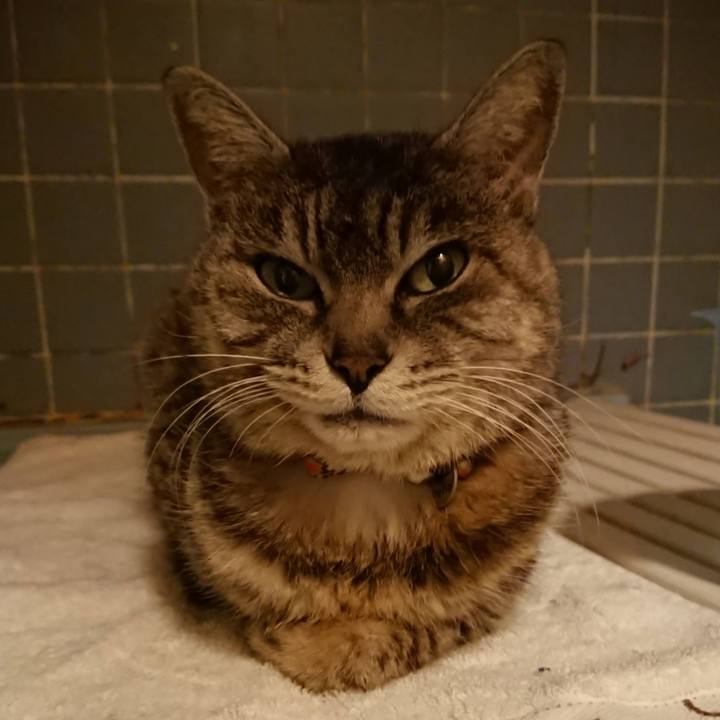 A6ba97fc 2801 4f07 8b1a b2d045e370c8 1617358868790